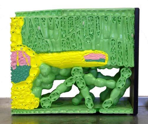 > </div>
<div class=